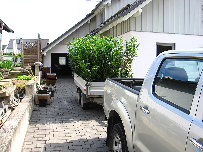 Garten & Landschaftsbau Dirk Mohr